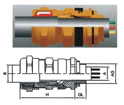 Explosion-Proof Cable Gland Manufacturer_Cable Gland drawing